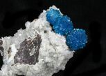 Vibrant Blue Cavansite Crystals on Stilbite - India #33693-4